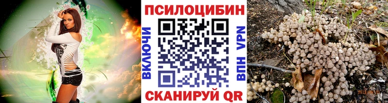 Галлюциногенные грибы прущие грибы  Александровск 